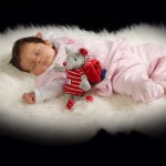weiches Fell gute Nacht